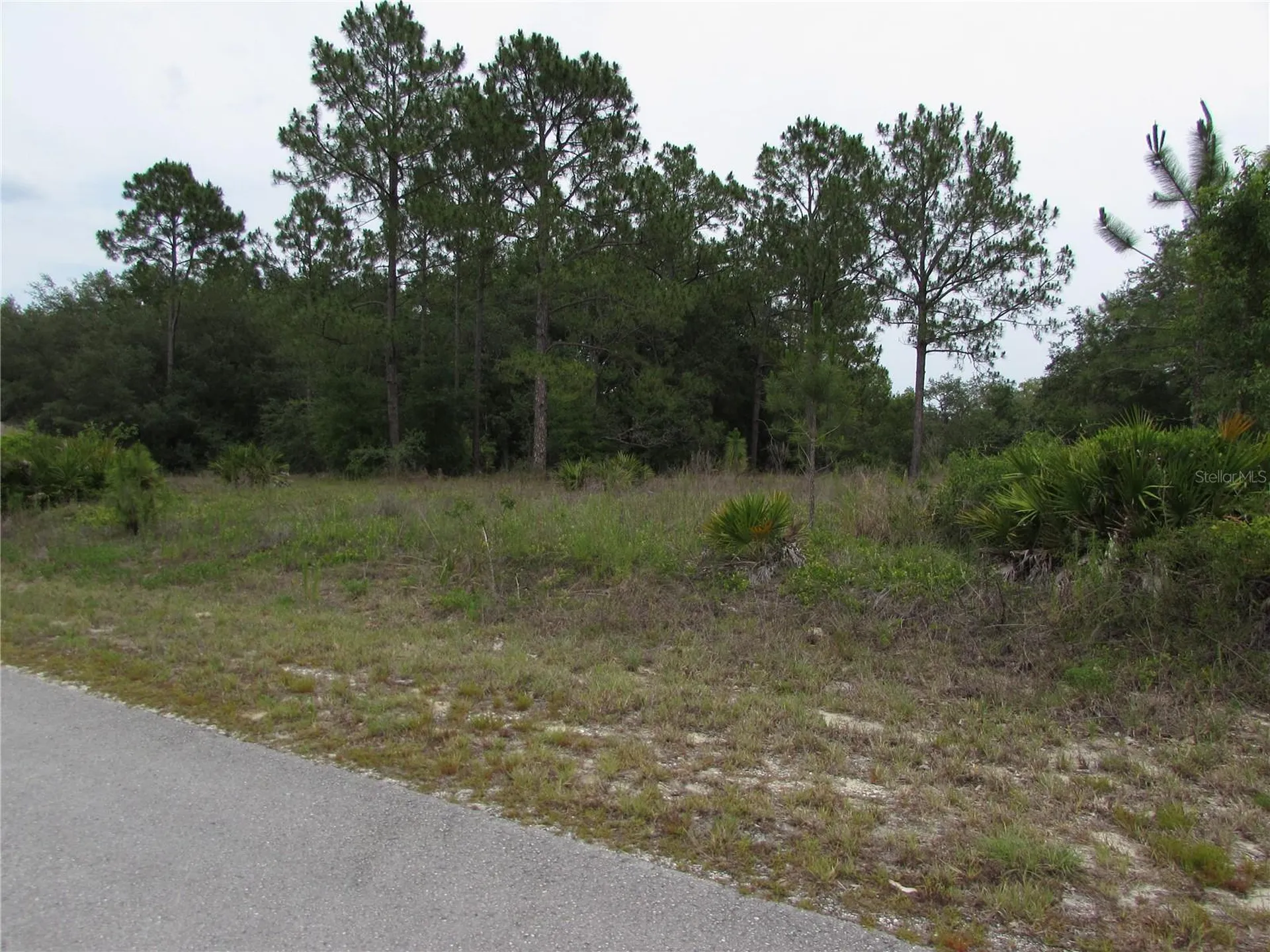 Lot 40 SW South Wind Court Dunnellon FL 34431