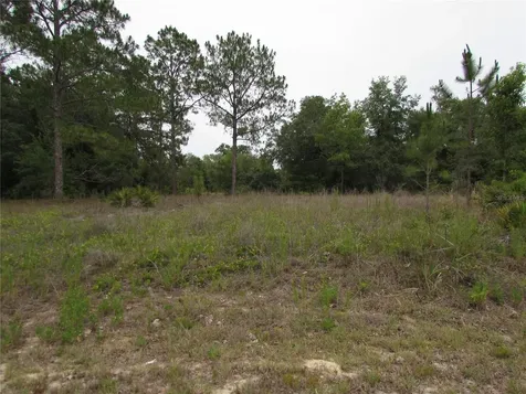 Lot 40 SW South Wind Court Dunnellon FL 34431