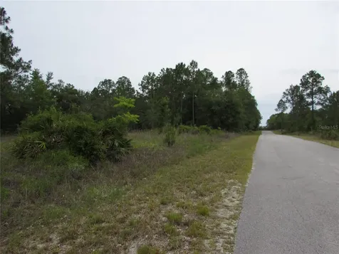 Lot 40 SW South Wind Court Dunnellon FL 34431