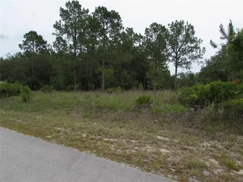 Lot 40 SW South Wind Court Dunnellon FL 34431