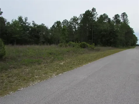 Lot 40 SW South Wind Court Dunnellon FL 34431