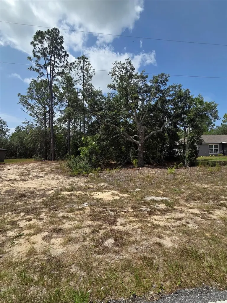 1816 W Hampshire Boulevard Citrus Springs FL 34434