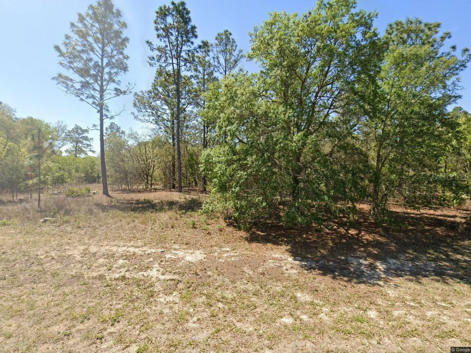 1816 W Hampshire Boulevard Citrus Springs FL 34434