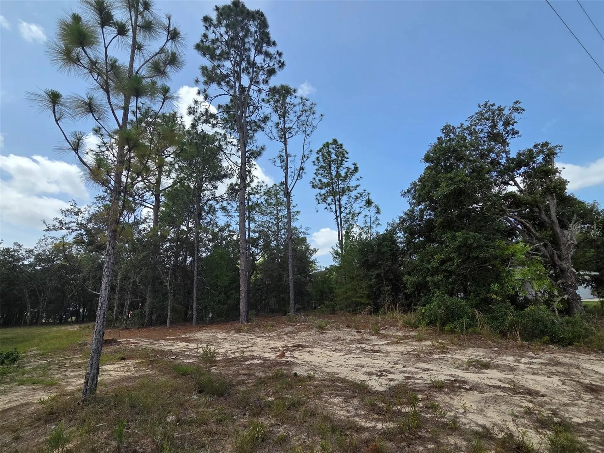 1816 W Hampshire Boulevard Citrus Springs FL 34434