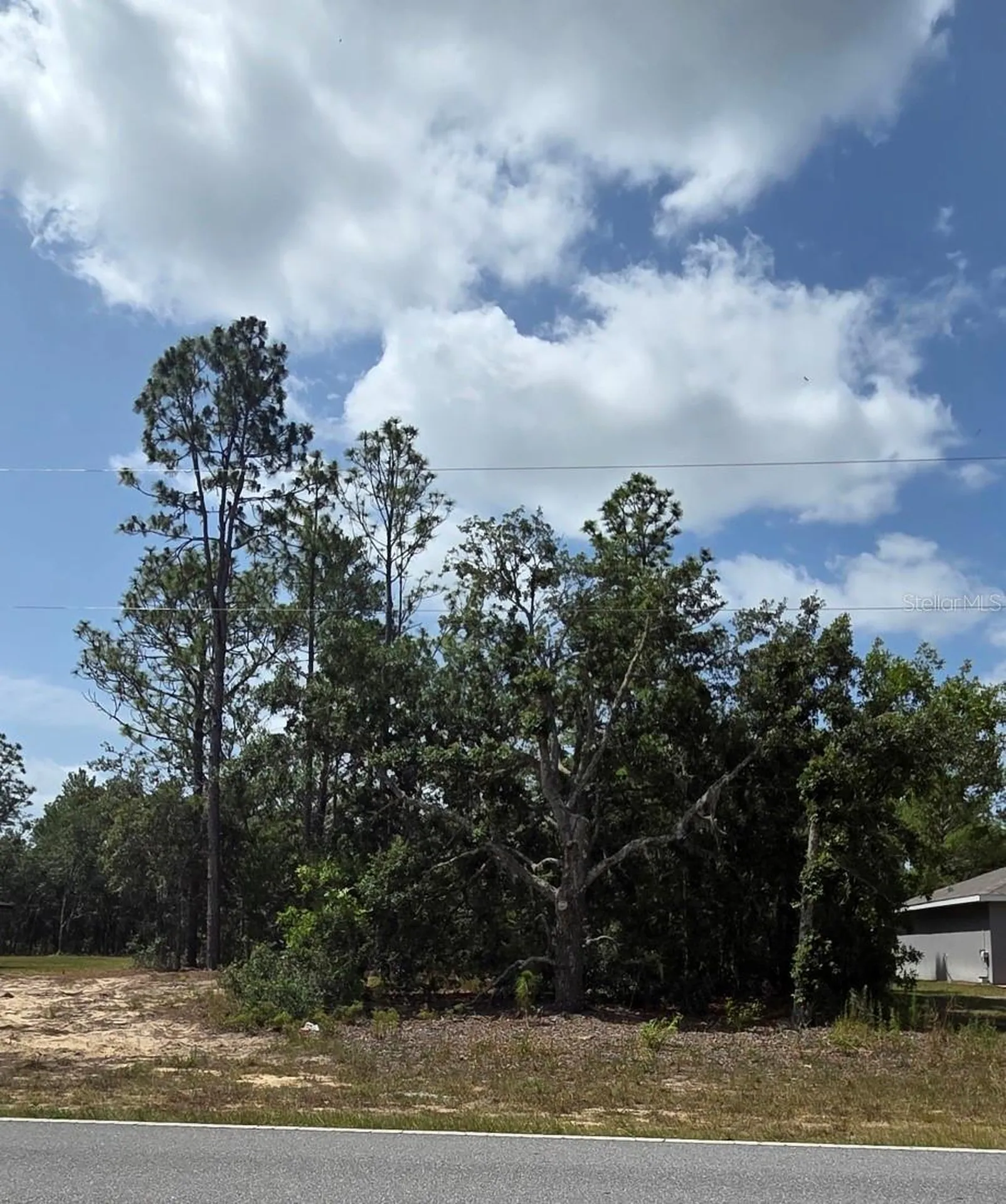 1816 W Hampshire Boulevard Citrus Springs FL 34434