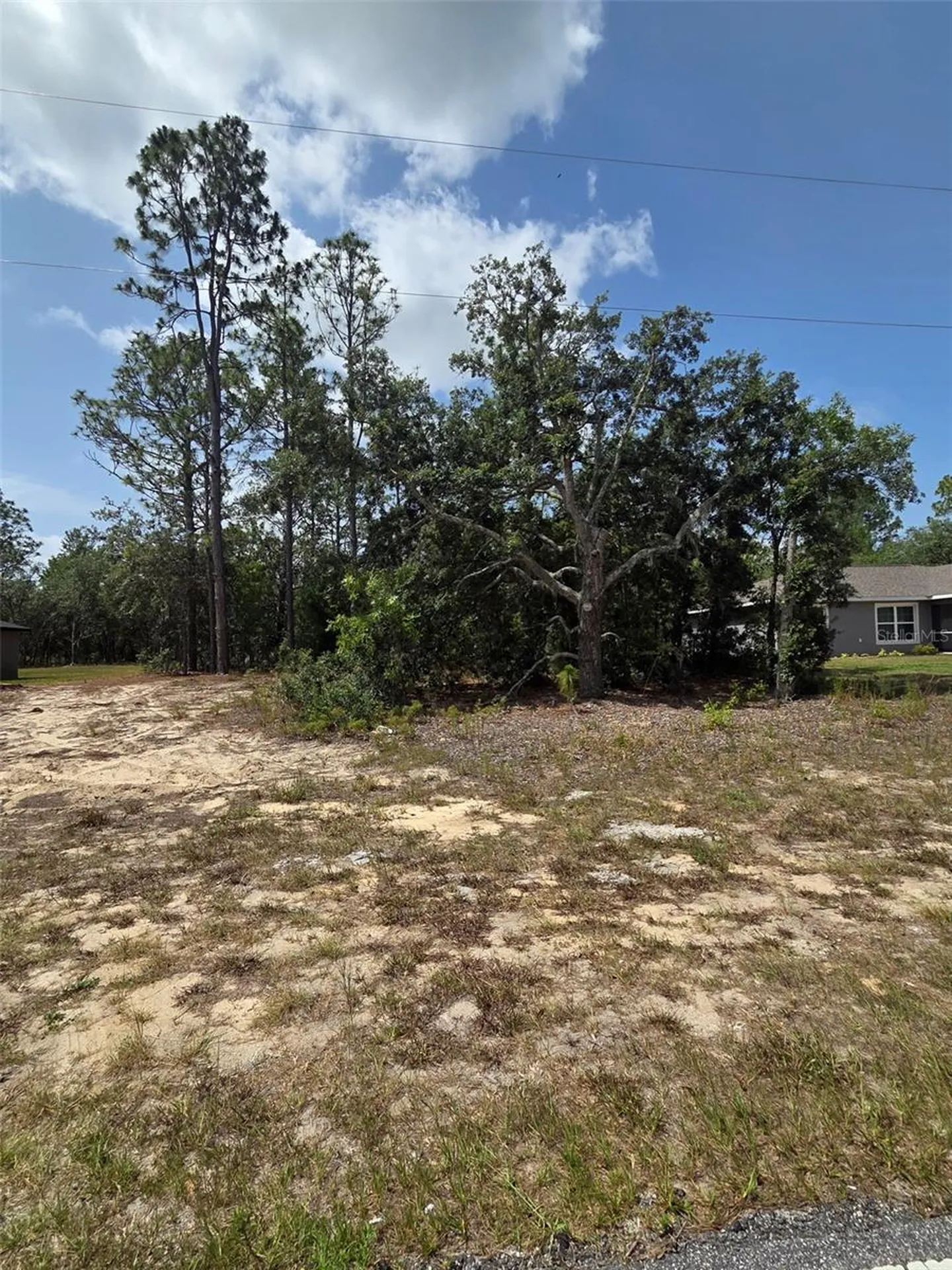 1816 W Hampshire Boulevard Citrus Springs FL 34434