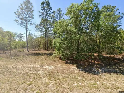 1816 W Hampshire Boulevard Citrus Springs FL 34434