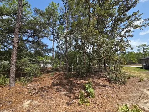 1816 W Hampshire Boulevard Citrus Springs FL 34434