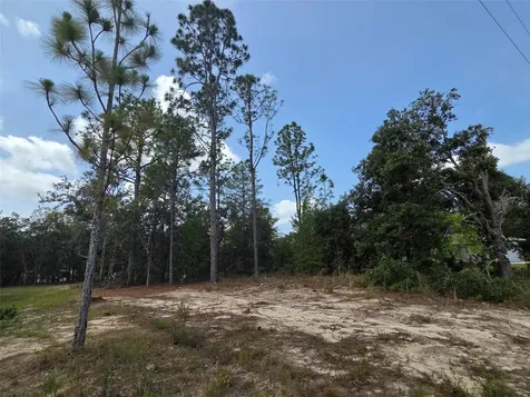 1816 W Hampshire Boulevard Citrus Springs FL 34434