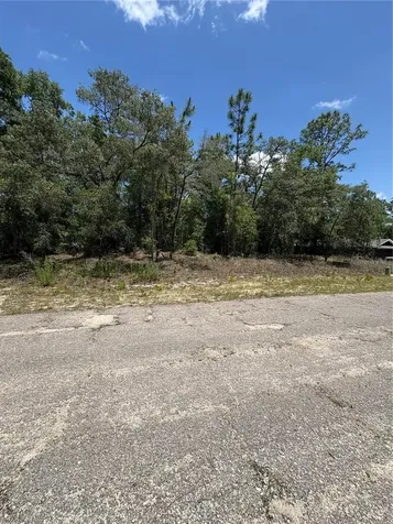 10965 N Mataro Avenue Citrus Springs FL 34434