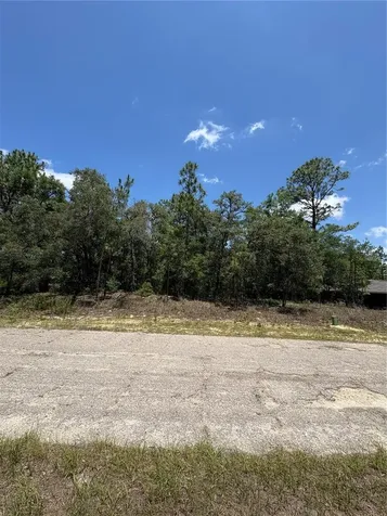 10965 N Mataro Avenue Citrus Springs FL 34434