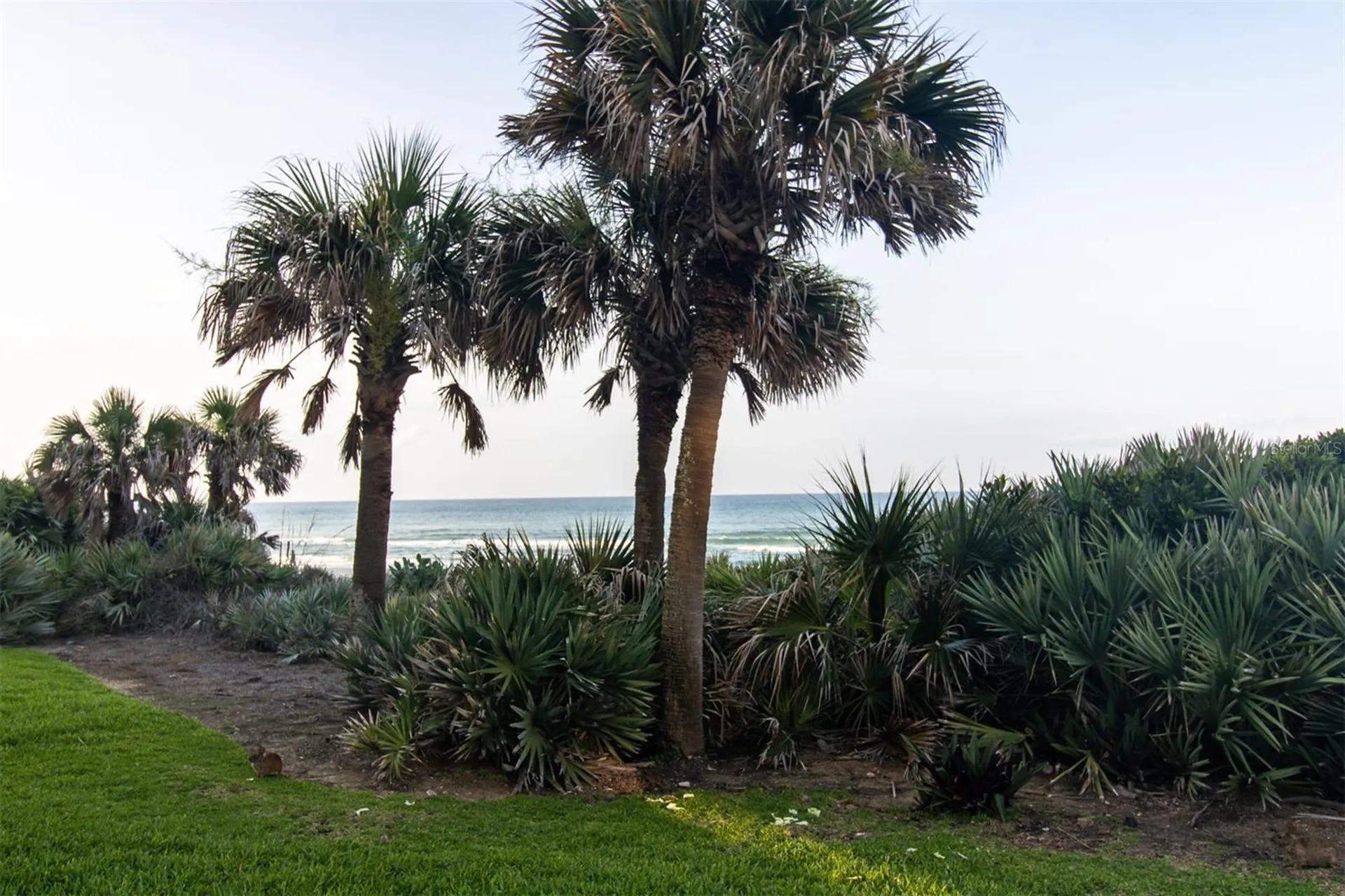 5301 S Atlantic Avenue New Smyrna Beach FL 32169