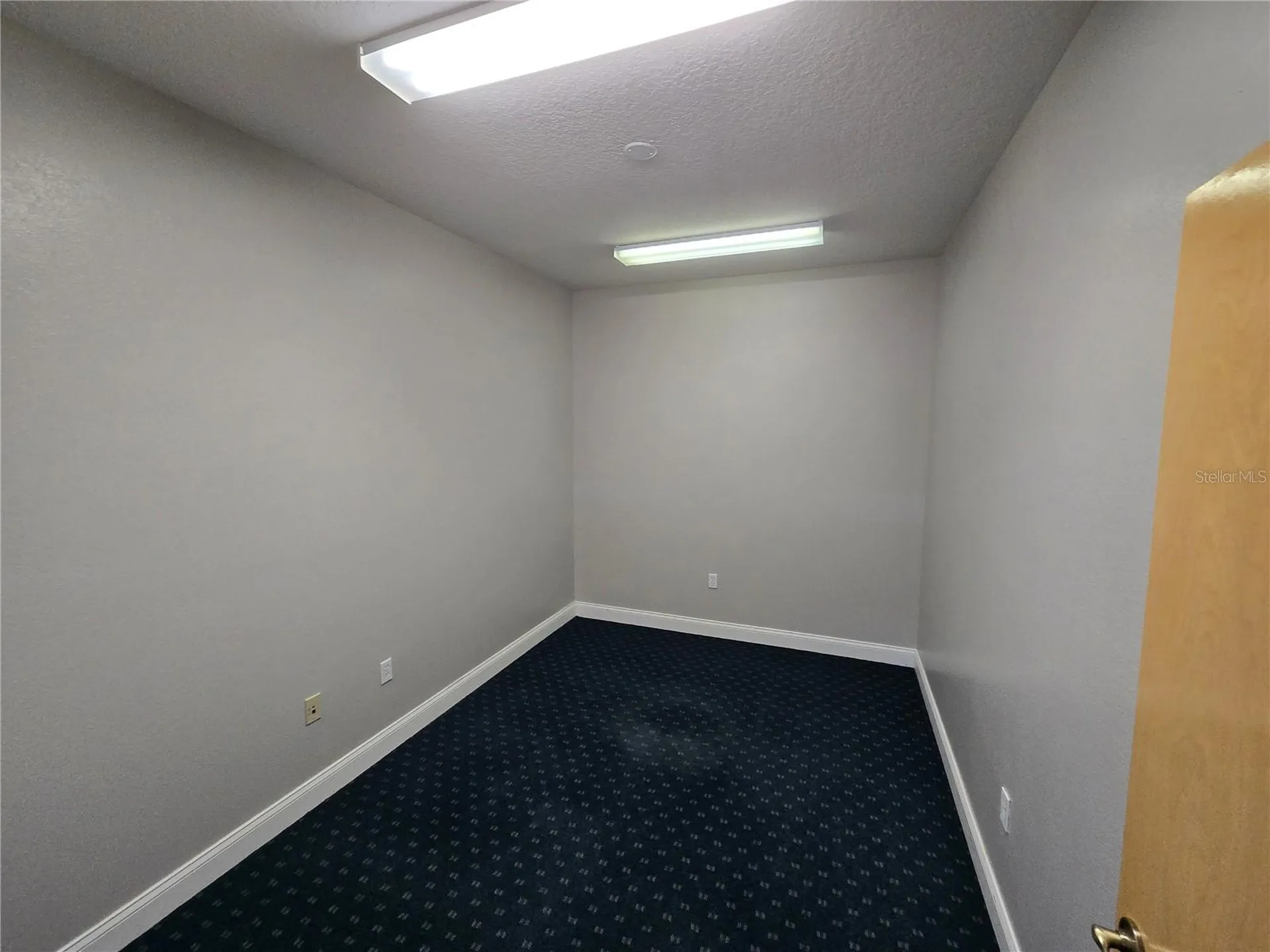 11031 Spring Hill Drive Spring Hill FL 34608