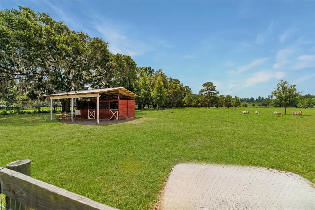 16520 NW 170th Street Williston FL 32696