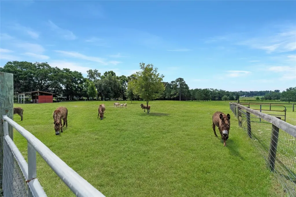 16520 NW 170th Street Williston FL 32696