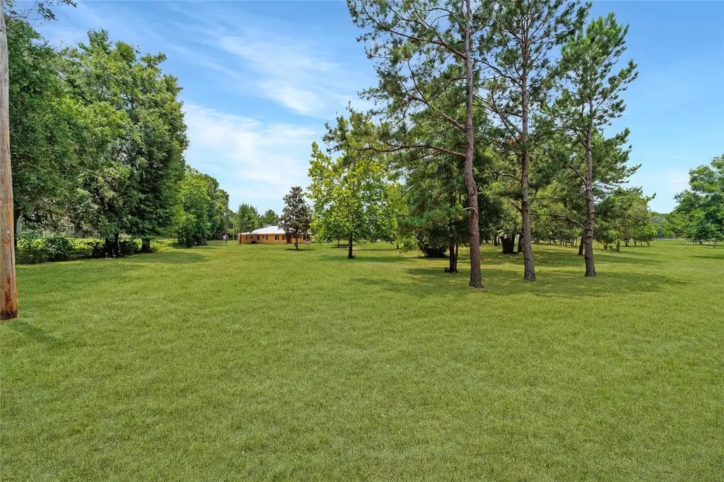 16520 NW 170th Street Williston FL 32696