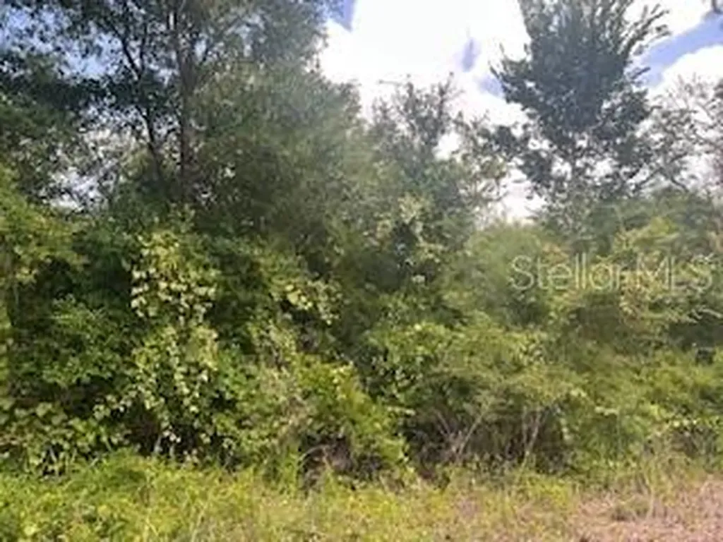 Hardstone Drive Webster FL 33597