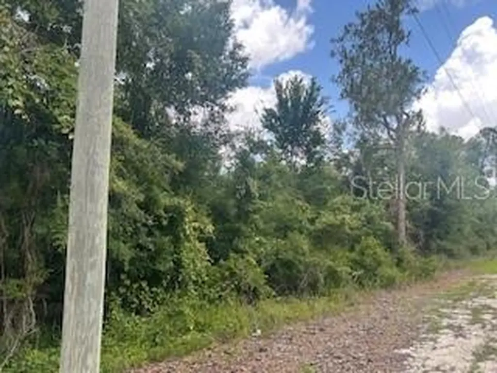 Hardstone Drive Webster FL 33597