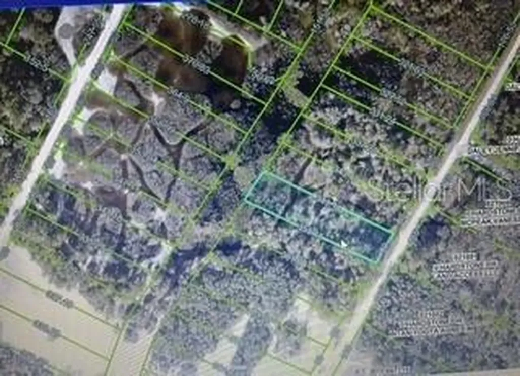 Hardstone Drive Webster FL 33597