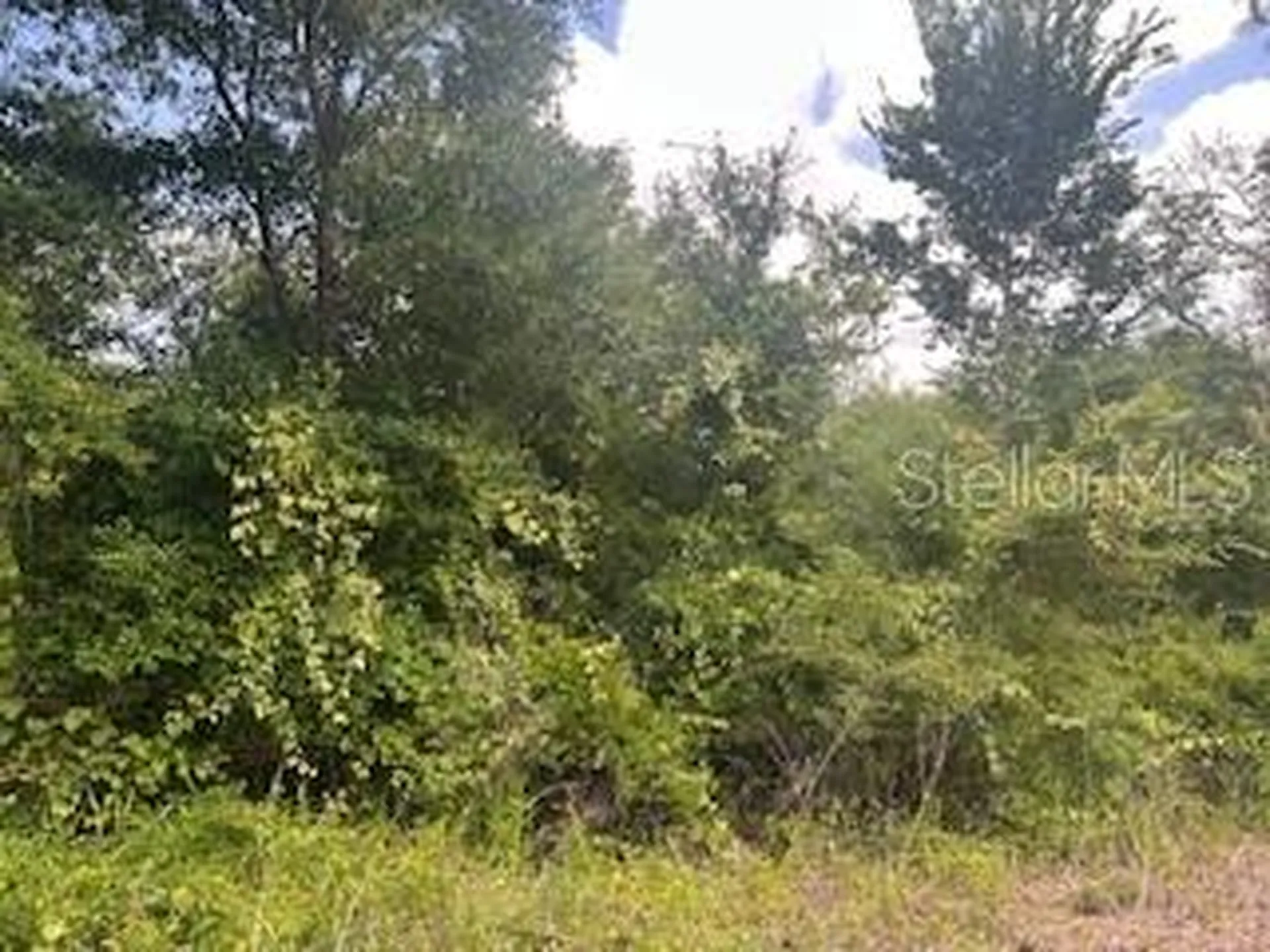 Hardstone Drive Webster FL 33597