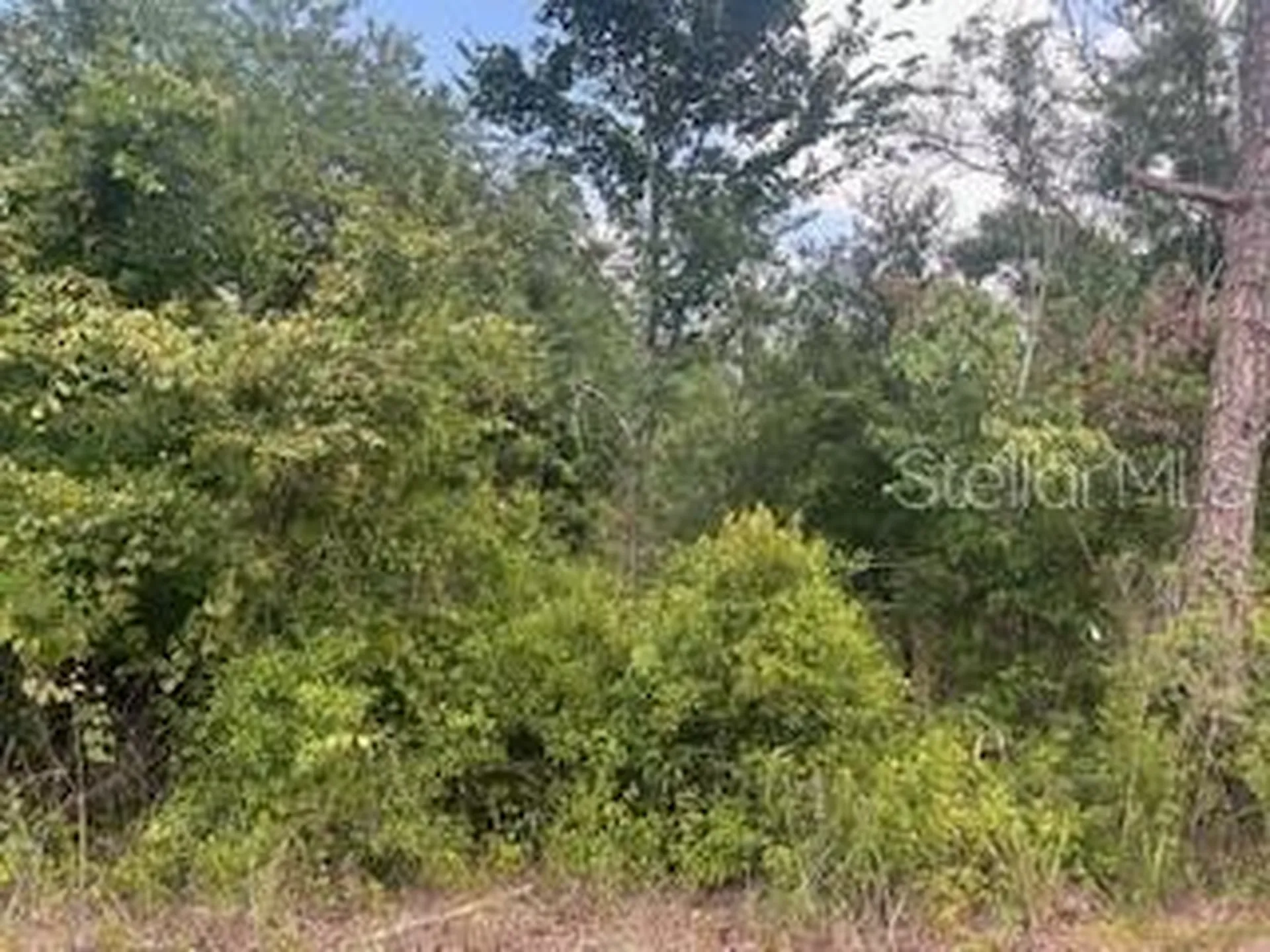 Hardstone Drive Webster FL 33597