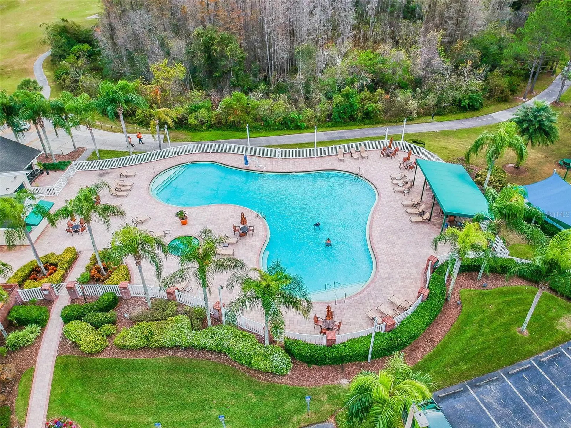 8149 Ambersweet Place Land O Lakes FL 34637