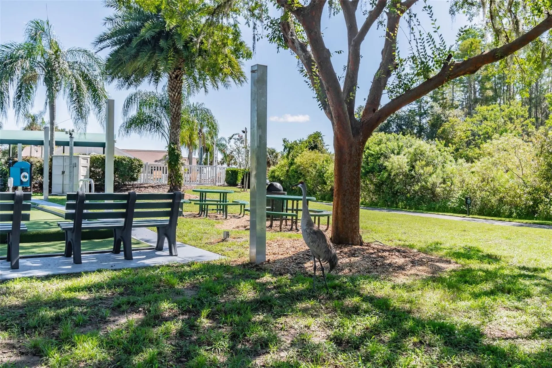 8149 Ambersweet Place Land O Lakes FL 34637