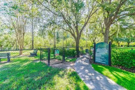 8149 Ambersweet Place Land O Lakes FL 34637