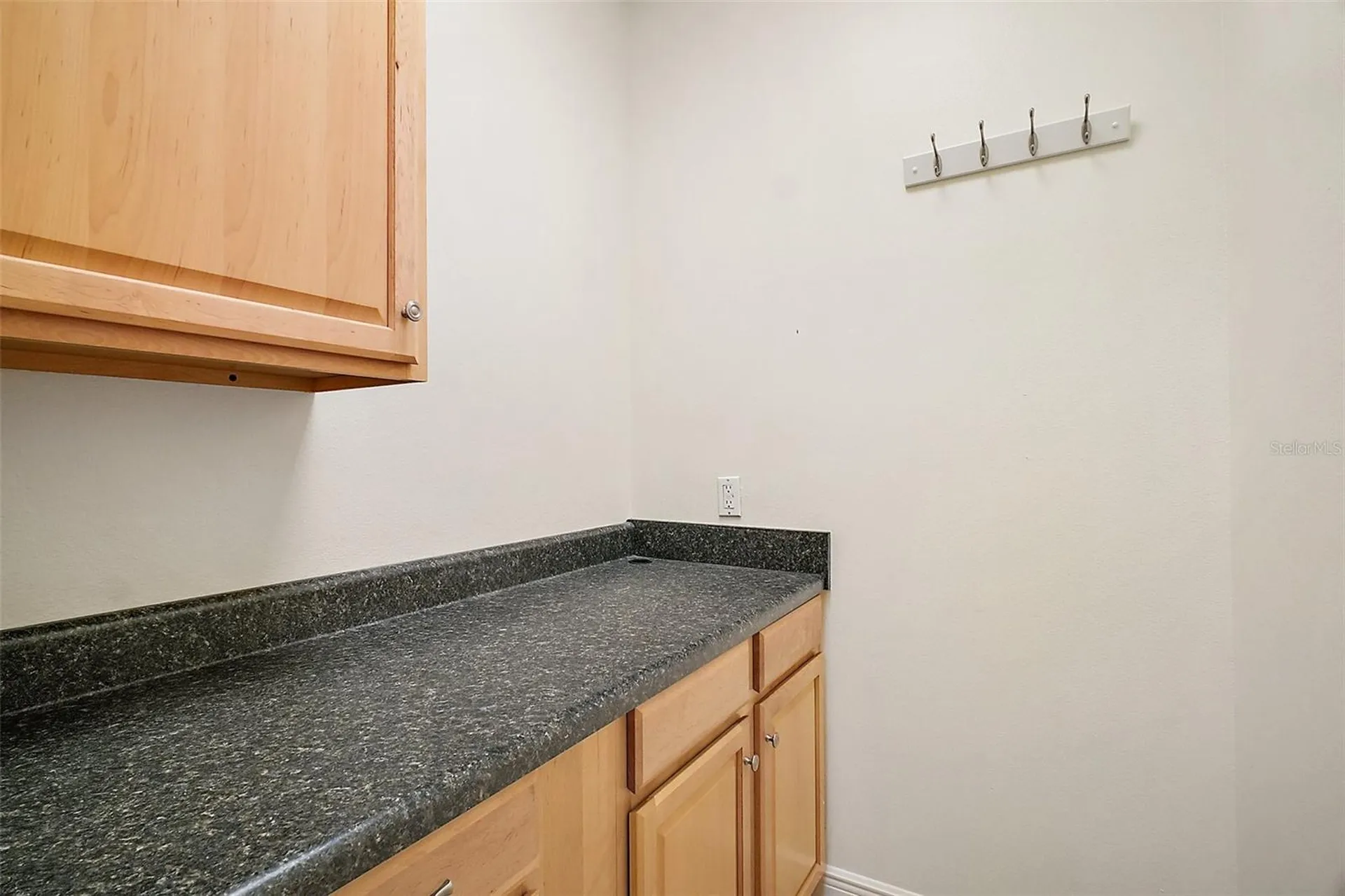 3651 Lake Center Drive Mount Dora FL 32757