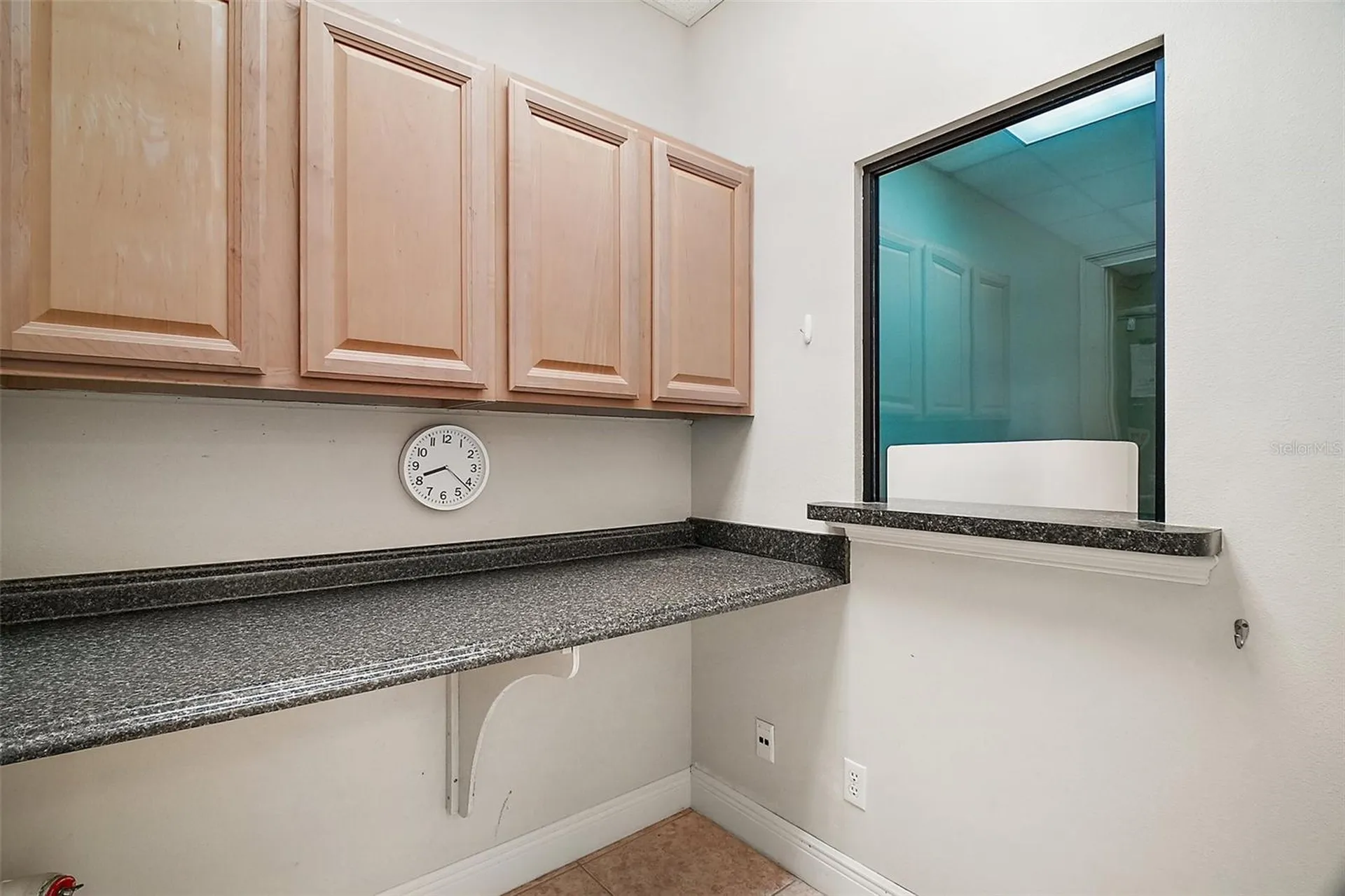 3651 Lake Center Drive Mount Dora FL 32757