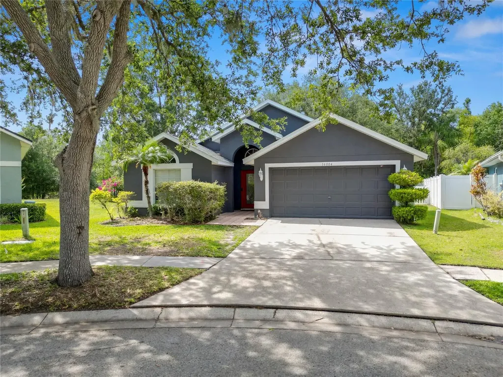 16804 Hawkridge Road Lithia FL 33547
