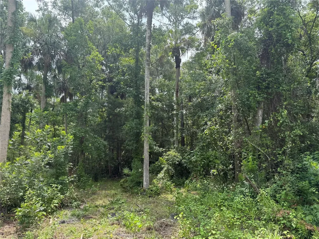 Okaloosa Trail Sorrento FL 32776