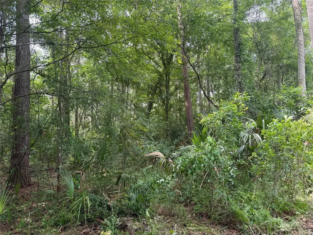 Okaloosa Trail Sorrento FL 32776