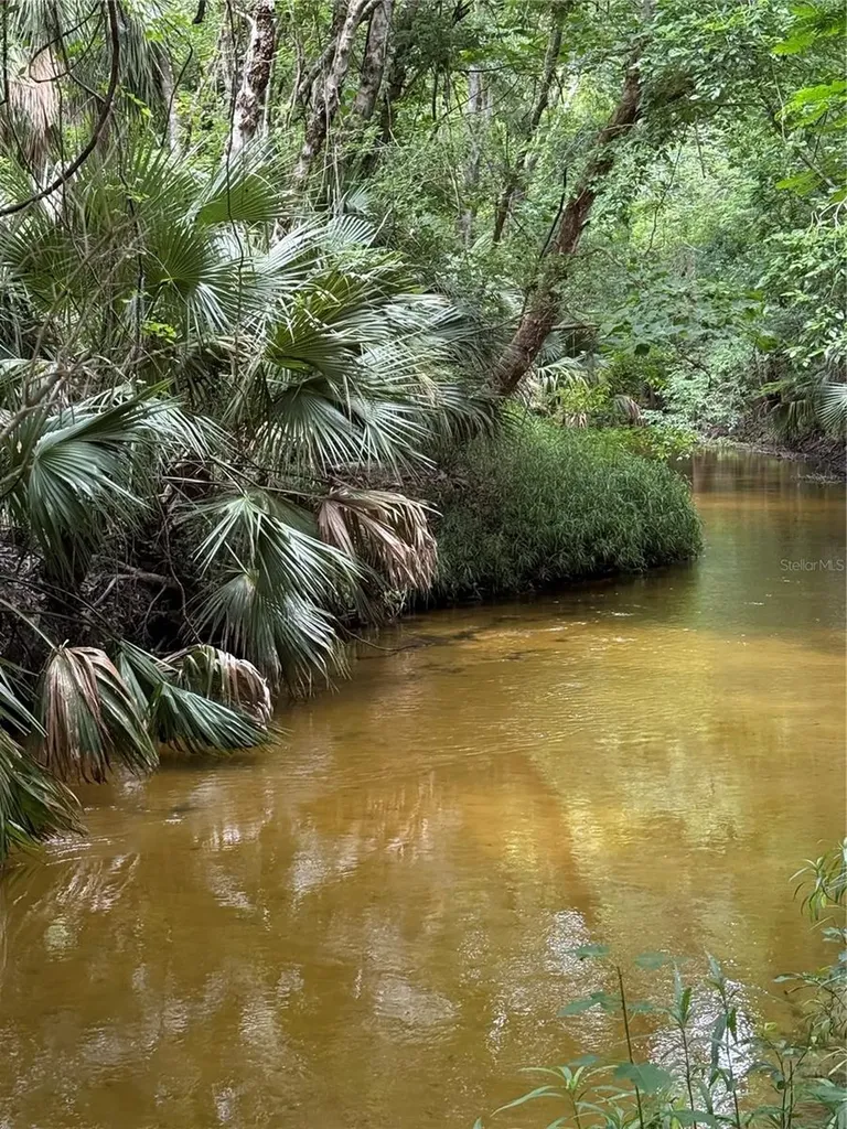 Okaloosa Trail Sorrento FL 32776