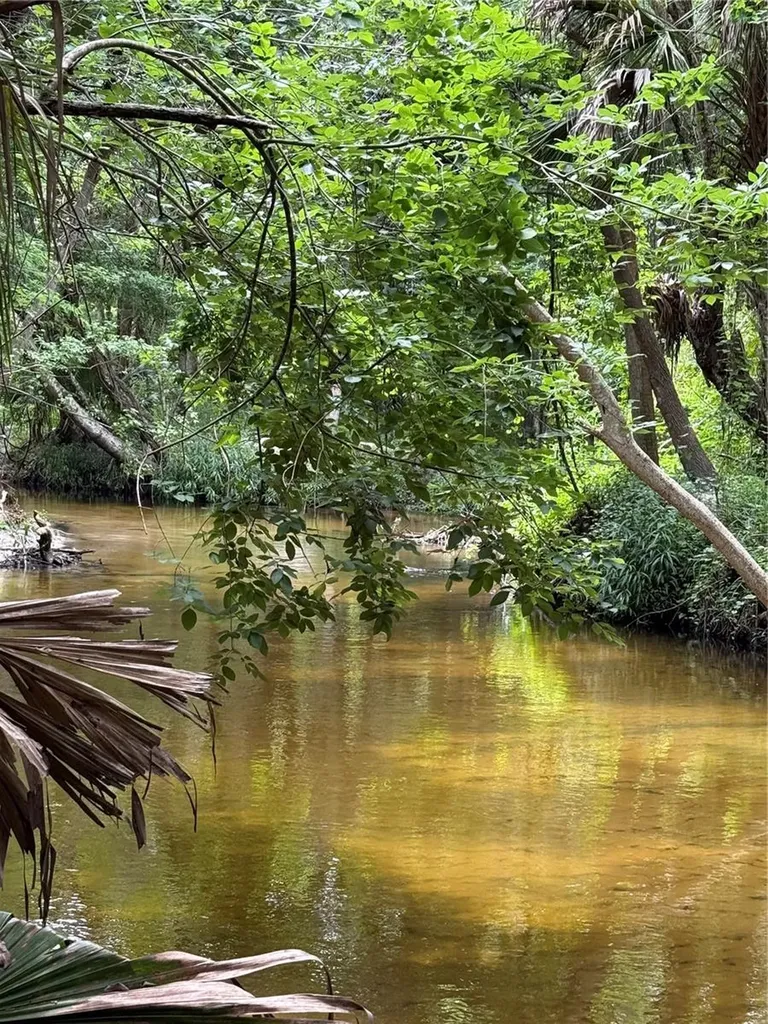 Okaloosa Trail Sorrento FL 32776