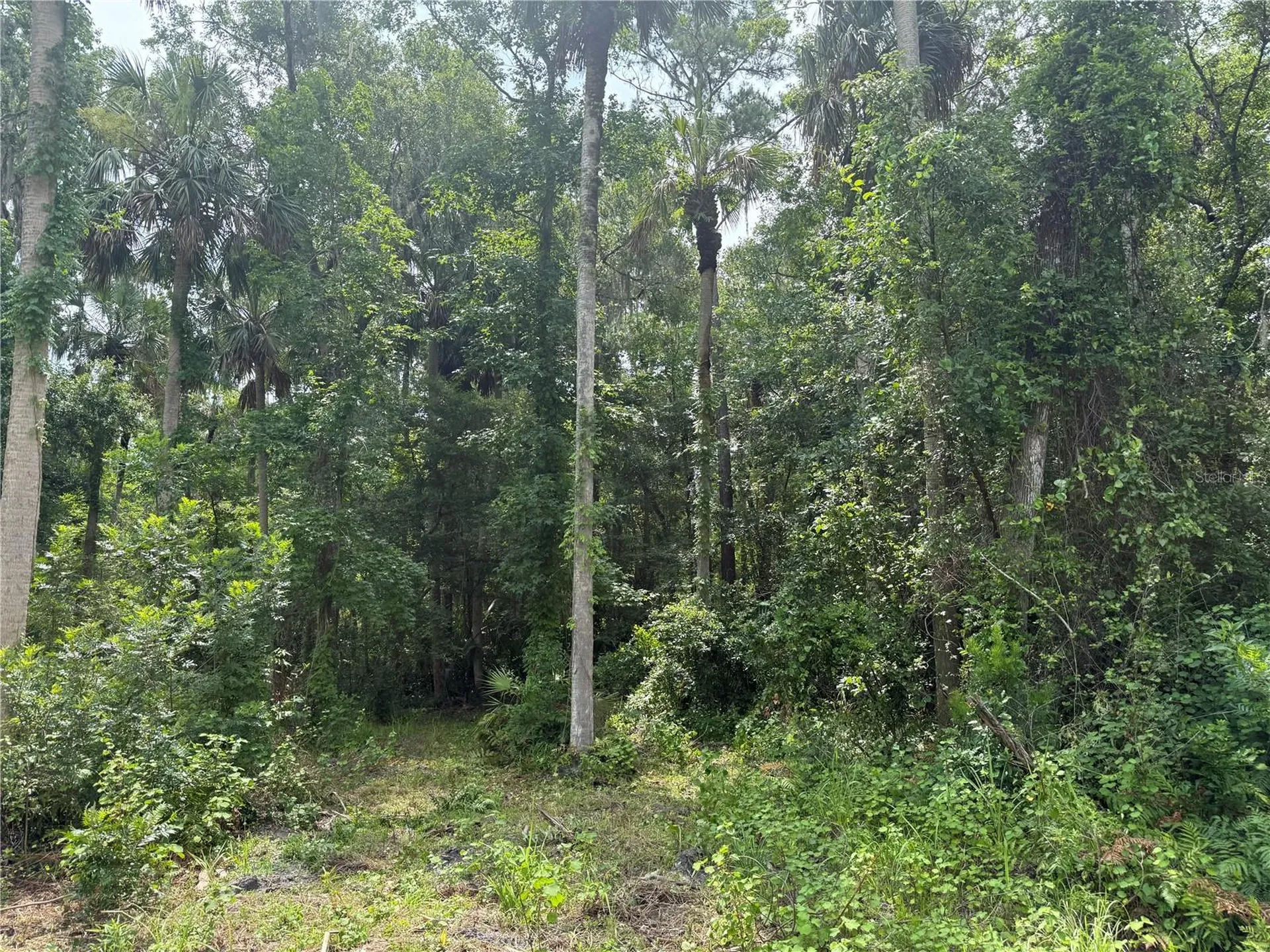 Okaloosa Trail Sorrento FL 32776