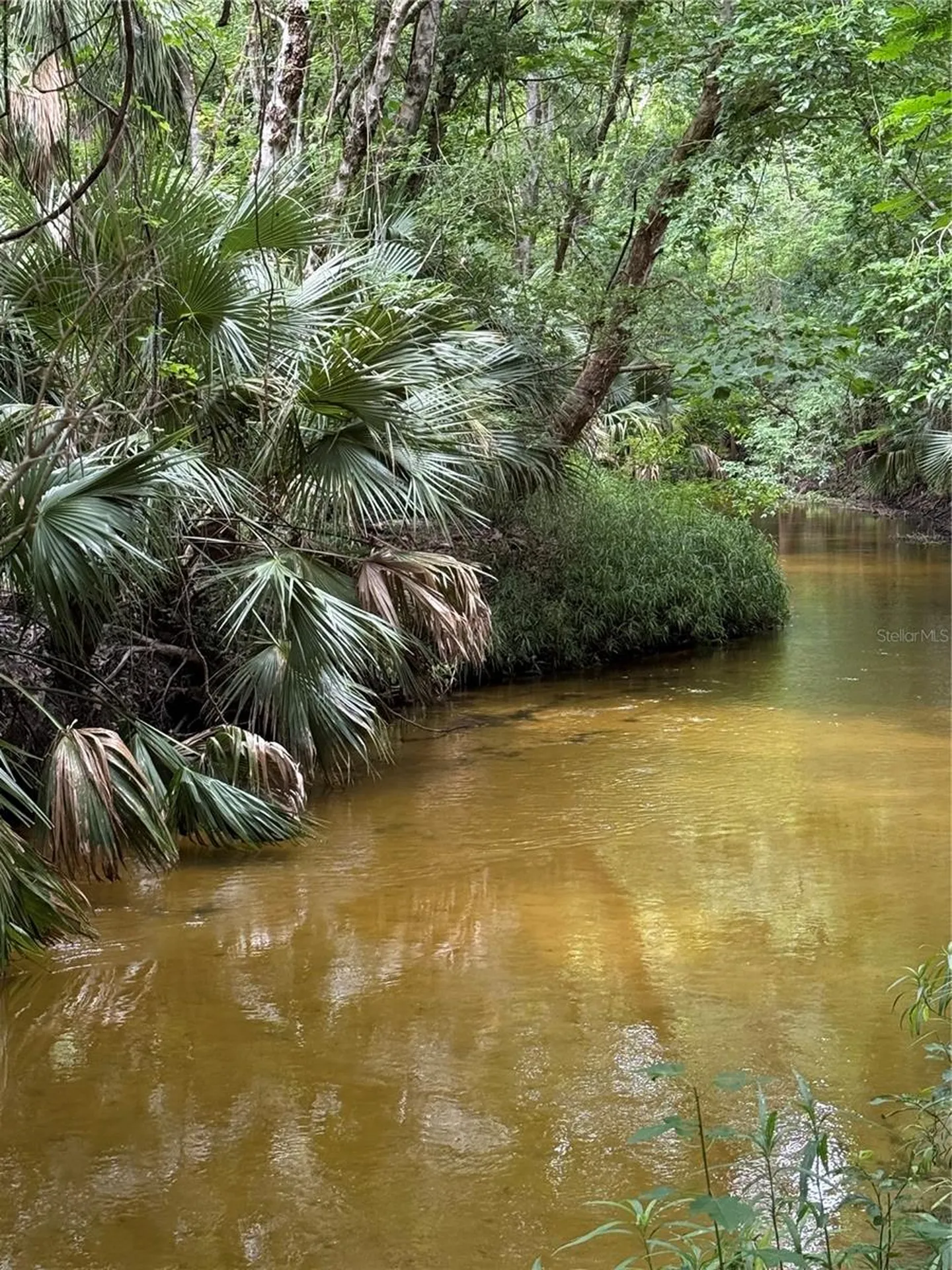 Okaloosa Trail Sorrento FL 32776