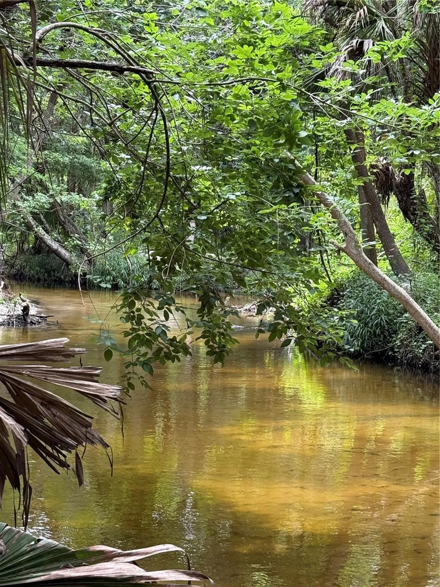 Okaloosa Trail Sorrento FL 32776