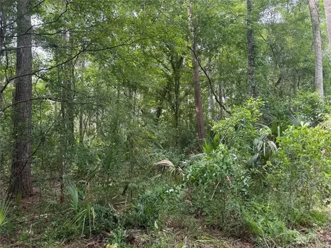 Okaloosa Trail Sorrento FL 32776