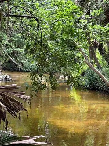 Okaloosa Trail Sorrento FL 32776