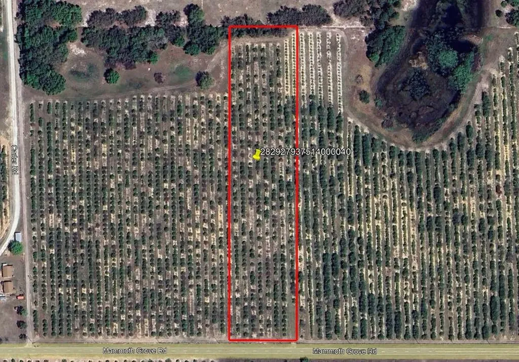 Mammoth Grove Road Lake Wales FL 33898