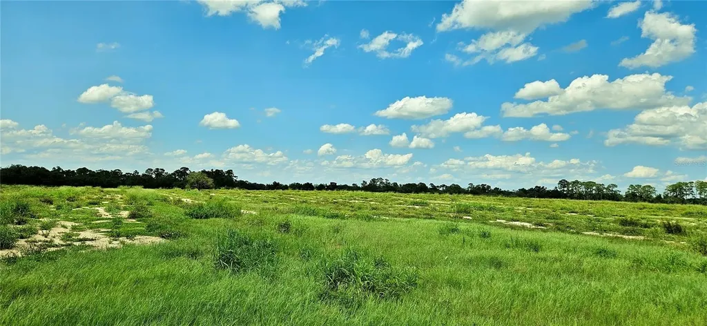 Mammoth Grove Road Lake Wales FL 33898