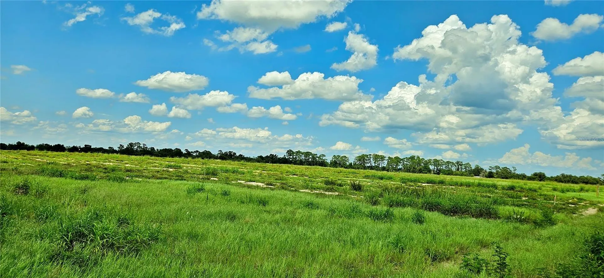 Mammoth Grove Road Lake Wales FL 33898