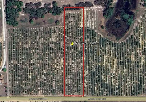 Mammoth Grove Road Lake Wales FL 33898