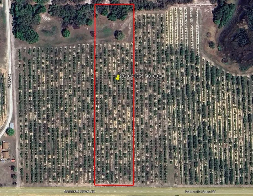 Mammoth Grove Road Lake Wales FL 33898