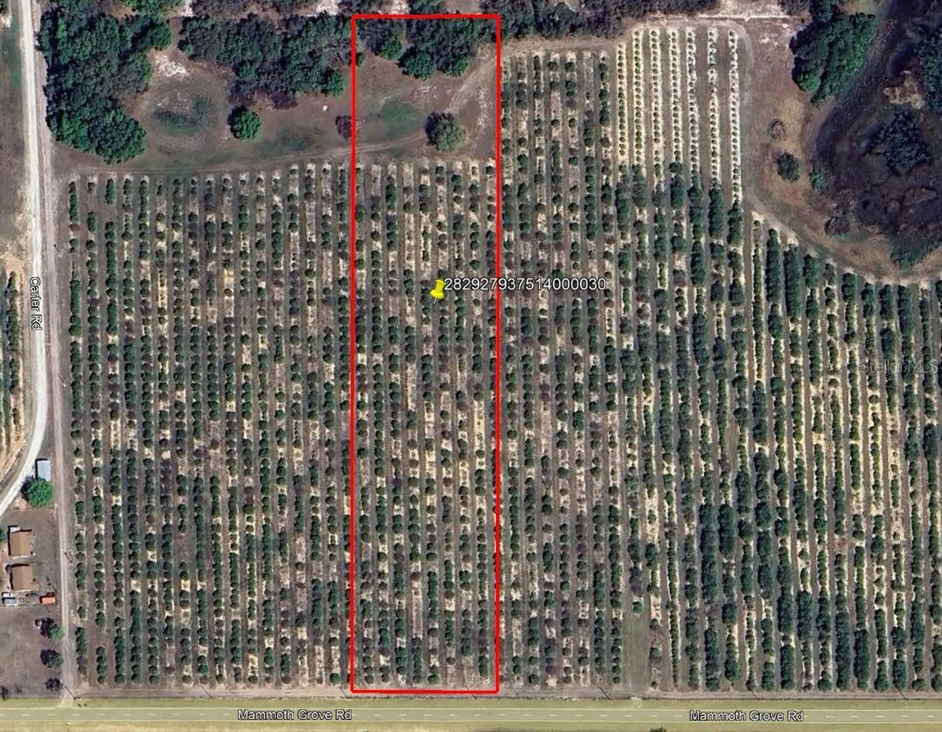 Mammoth Grove Road Lake Wales FL 33898