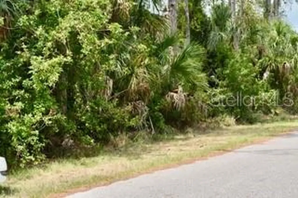 Bushnell Avenue North Port FL 34286