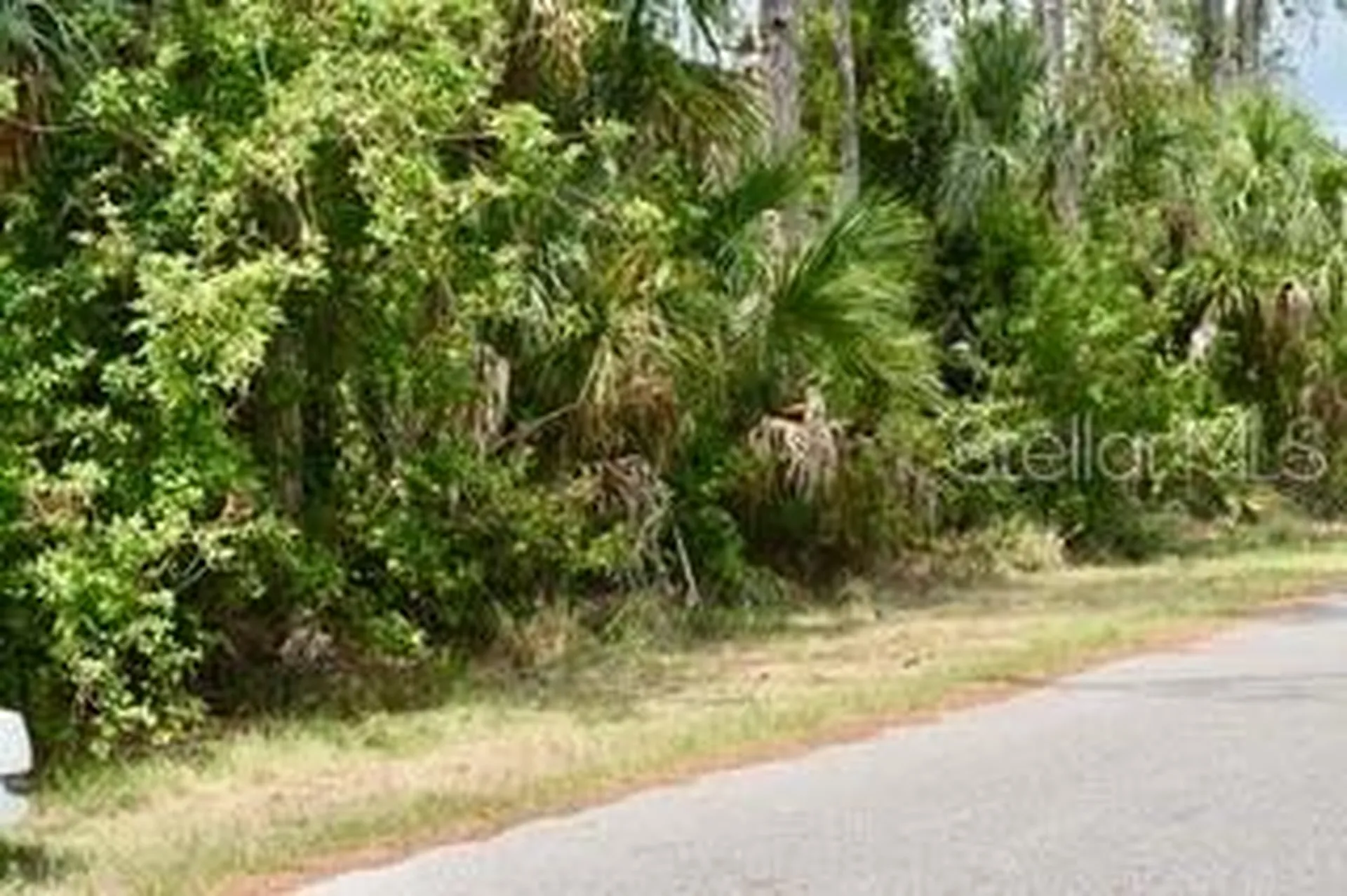 Bushnell Avenue North Port FL 34286