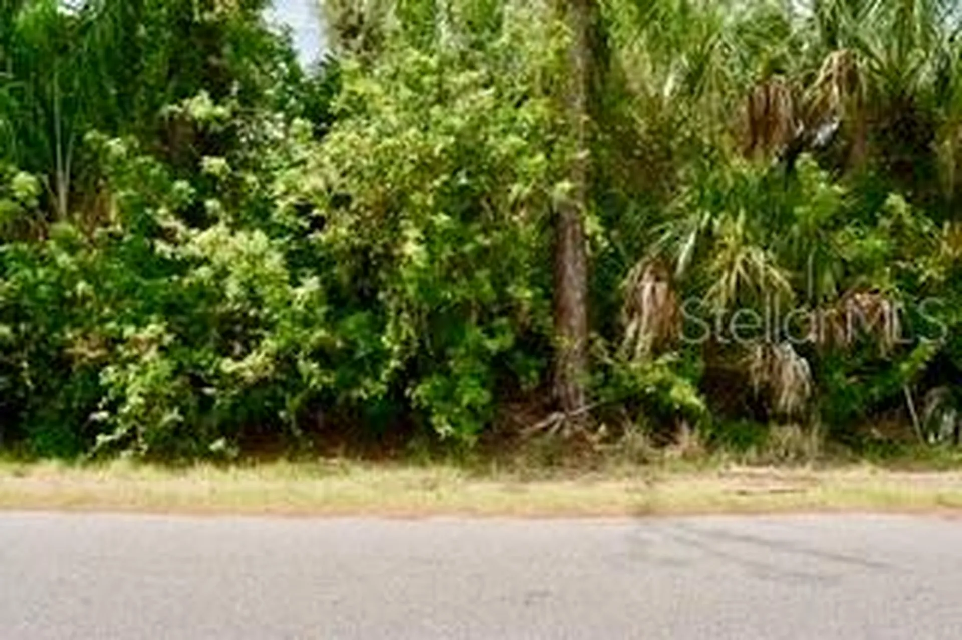 Bushnell Avenue North Port FL 34286