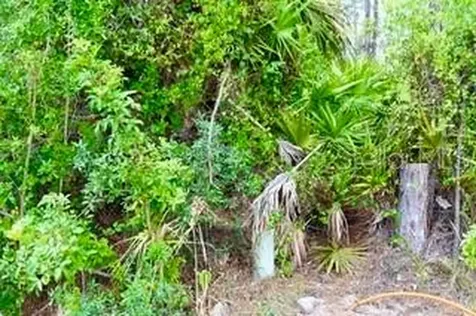 Bushnell Avenue North Port FL 34286